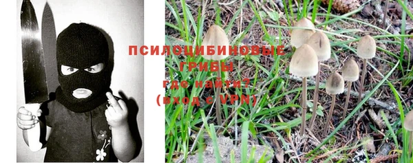 шишки Беломорск