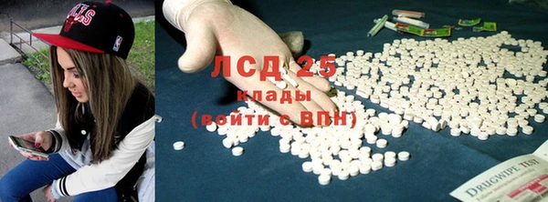 шишки Беломорск