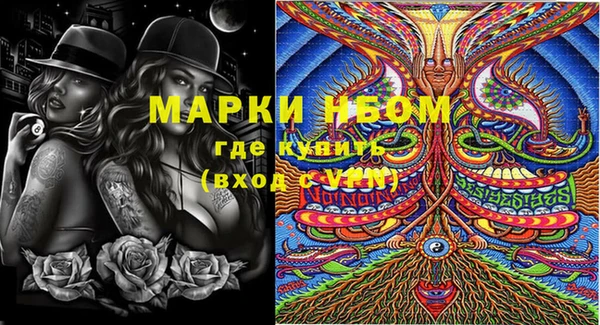 шишки Беломорск