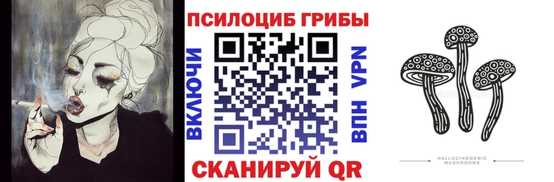 сколько стоит  Пионерский  Псилоцибиновые грибы мицелий 